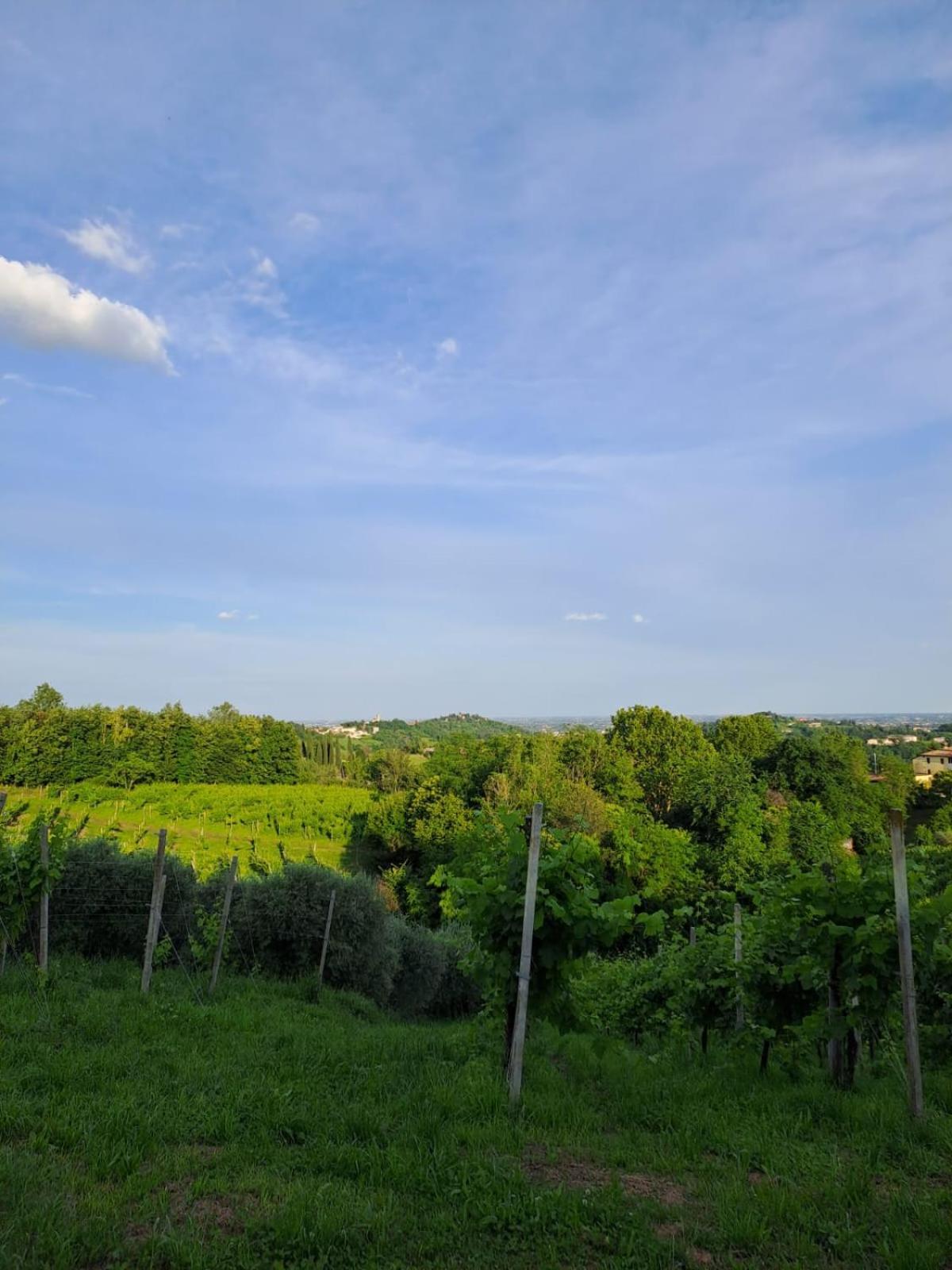 Casa Di Tuco Bed & Breakfast Conegliano Eksteriør bilde