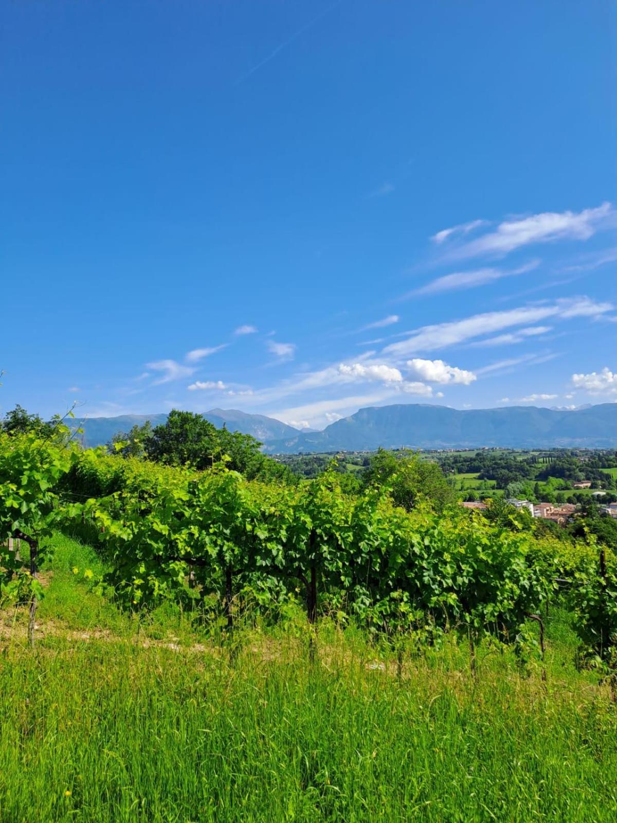 Casa Di Tuco Bed & Breakfast Conegliano Eksteriør bilde